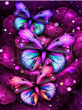 Load image into Gallery viewer, Butterfly Theme Diamond Painting Kit Decordovia
