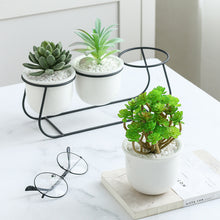 Load image into Gallery viewer, 3x Flower Pot Iron Frame Set Decordovia
