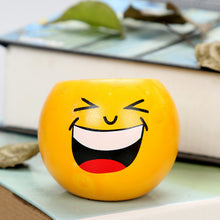 Load image into Gallery viewer, Smiley Face Succulent Flower Pot Decordovia
