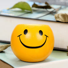 Load image into Gallery viewer, Smiley Face Succulent Flower Pot Decordovia
