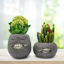 Load image into Gallery viewer, Tooth Succulent Flower Pot Planter Decordovia
