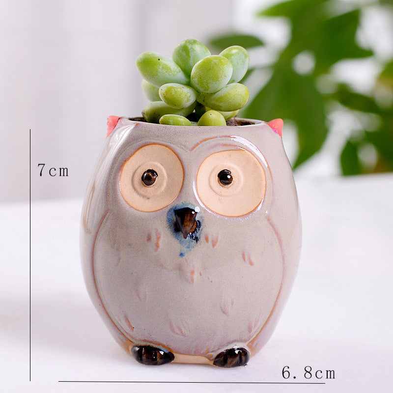 Cute Owl Mini Ceramic Succulent Head Flower Planter Pot Decordovia