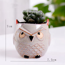 Load image into Gallery viewer, Cute Owl Mini Ceramic Succulent Head Flower Planter Pot Decordovia

