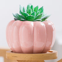 Load image into Gallery viewer, Mini Pumpkin Ceramic Succulent Planter Flower Pot Decordovia
