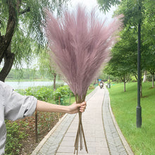 Load image into Gallery viewer, 5PCS 98cm Faux Pampas Grass Artificial Dried Flower Plant Decorations Decordovia
