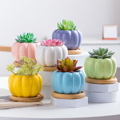 Mini Pumpkin Ceramic Succulent Planter Flower Pot Decordovia