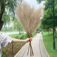 Load image into Gallery viewer, 5PCS 98cm Faux Pampas Grass Artificial Dried Flower Plant Decorations Decordovia
