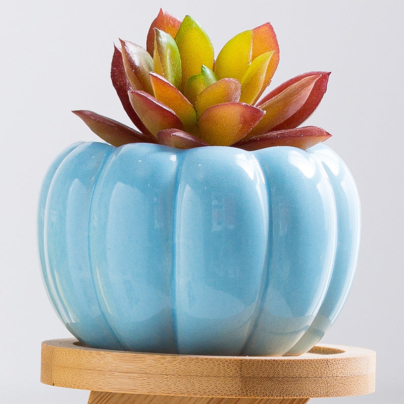 Mini Pumpkin Ceramic Succulent Planter Flower Pot Decordovia