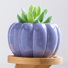 Load image into Gallery viewer, Mini Pumpkin Ceramic Succulent Planter Flower Pot Decordovia
