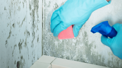 How To Tackle Mildew Build-Up In The Bathroom