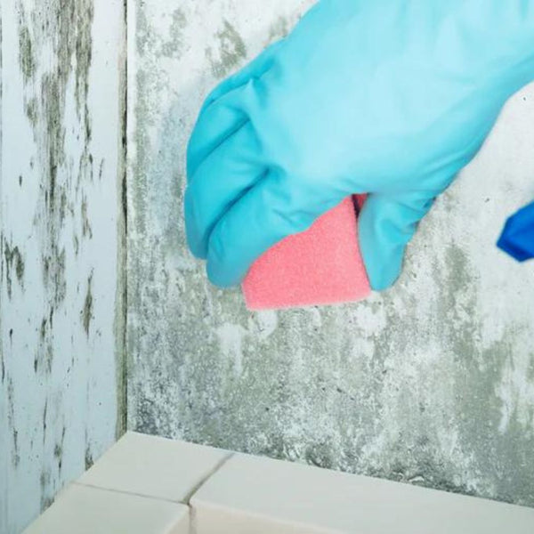 How To Tackle Mildew Build-Up In The Bathroom