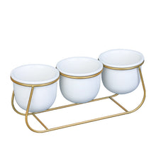 Load image into Gallery viewer, 3x Flower Pot Iron Frame Set Decordovia
