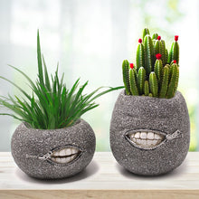 Load image into Gallery viewer, Tooth Succulent Flower Pot Planter Decordovia
