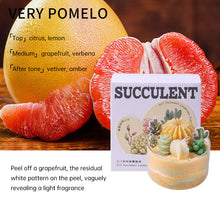 Load image into Gallery viewer, Colorful DIY Succulent Scented Candle Making Kit
