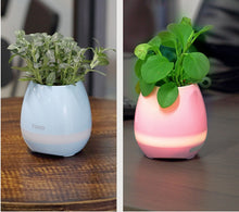 Load image into Gallery viewer, Smart Music Flower-Pot Planter
