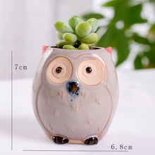 Load image into Gallery viewer, Cute Owl Mini Ceramic Succulent Head Flower Planter Pot Decordovia

