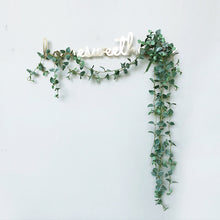 Load image into Gallery viewer, DIY Artificial Vine Hanging Plant Garland with Metal Iron Text Decordovia
