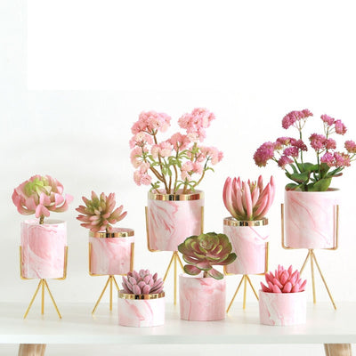 Pink Marble Succulent Ceramic Decoration Flower Planter Pot Decordovia