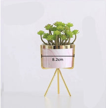Load image into Gallery viewer, Pink Marble Succulent Ceramic Decoration Flower Planter Pot Decordovia
