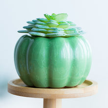 Load image into Gallery viewer, Mini Pumpkin Ceramic Succulent Planter Flower Pot Decordovia
