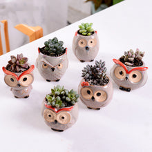 Load image into Gallery viewer, Cute Owl Mini Ceramic Succulent Head Flower Planter Pot Decordovia
