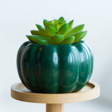 Load image into Gallery viewer, Mini Pumpkin Ceramic Succulent Planter Flower Pot Decordovia
