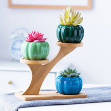 Load image into Gallery viewer, Mini Pumpkin Ceramic Succulent Planter Flower Pot Decordovia
