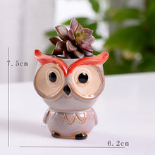 Load image into Gallery viewer, Cute Owl Mini Ceramic Succulent Head Flower Planter Pot Decordovia
