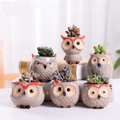 Cute Owl Mini Ceramic Succulent Head Flower Planter Pot Decordovia