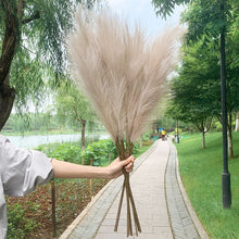 Load image into Gallery viewer, 5PCS 98cm Faux Pampas Grass Artificial Dried Flower Plant Decorations Decordovia
