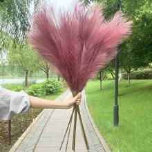 Load image into Gallery viewer, 5PCS 98cm Faux Pampas Grass Artificial Dried Flower Plant Decorations Decordovia
