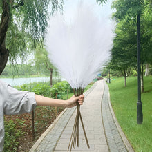 Load image into Gallery viewer, 5PCS 98cm Faux Pampas Grass Artificial Dried Flower Plant Decorations Decordovia
