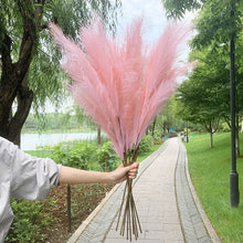 Load image into Gallery viewer, 5PCS 98cm Faux Pampas Grass Artificial Dried Flower Plant Decorations Decordovia
