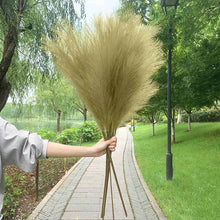 Load image into Gallery viewer, 5PCS 98cm Faux Pampas Grass Artificial Dried Flower Plant Decorations Decordovia
