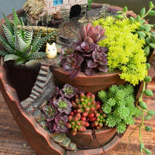 Load image into Gallery viewer, Succulent Planter Flower Pot_Room Decor Interior Design Accessories Online Store_Decordovia

