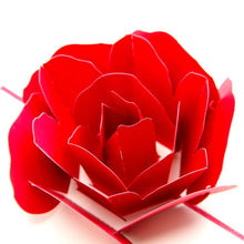 Load image into Gallery viewer, 2x DIY Handmade Paper Rose 3D Pop-up Folding Gift Greeting Cards Decordovia
