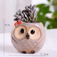 Load image into Gallery viewer, Cute Owl Mini Ceramic Succulent Head Flower Planter Pot Decordovia
